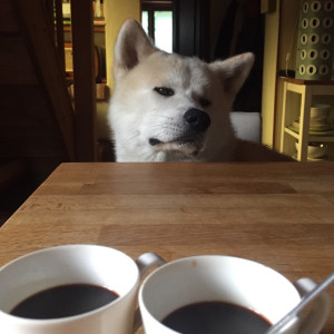 Hiro