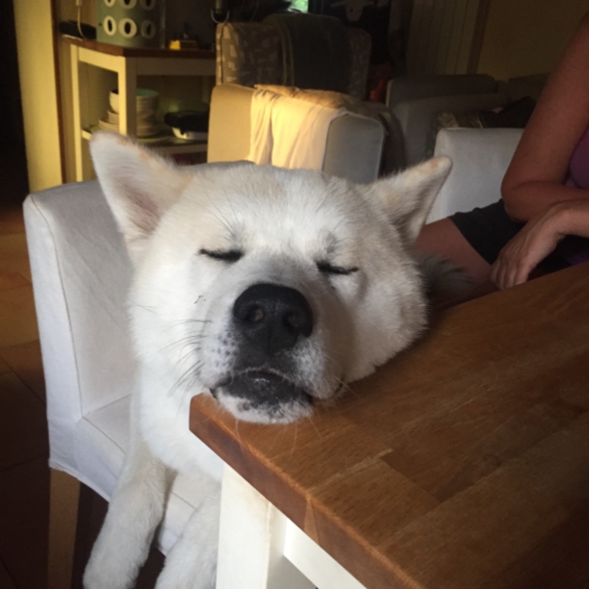 Hiro