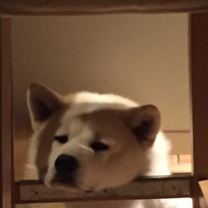 Hiro