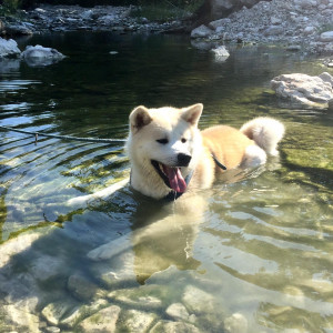 Hiro