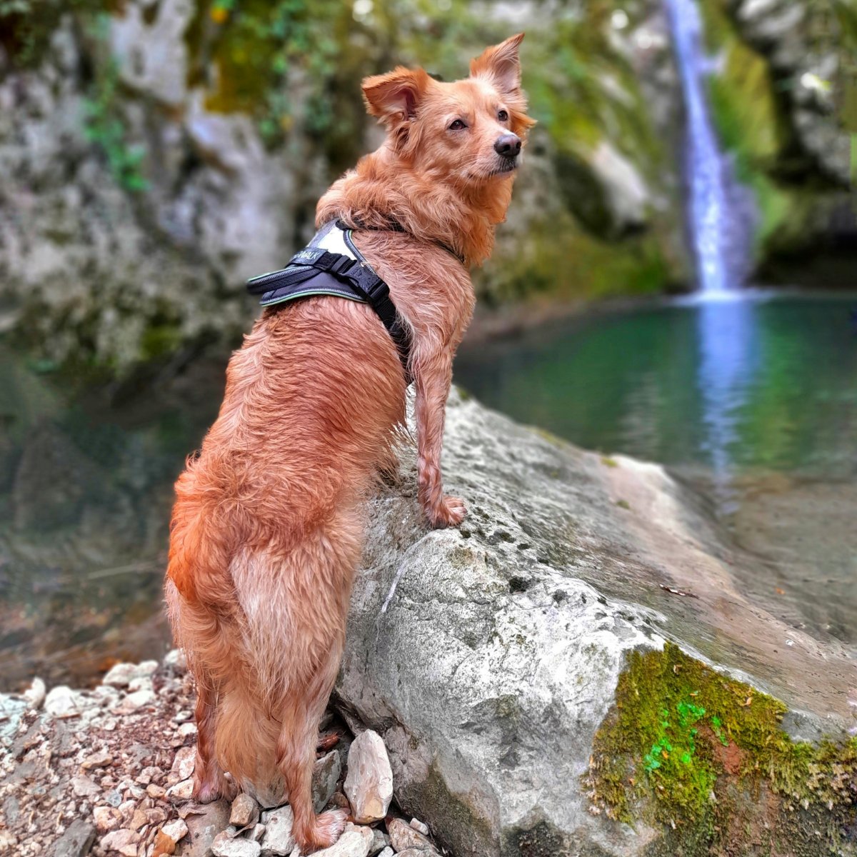 Ciao a tutti amici 🥰