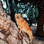 Che bel freschetto sotto questi alberi 😊