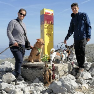 Ed eccoci qui! Tutti soddisfatti per aver raggiunto la cima più alta della campania ❤️