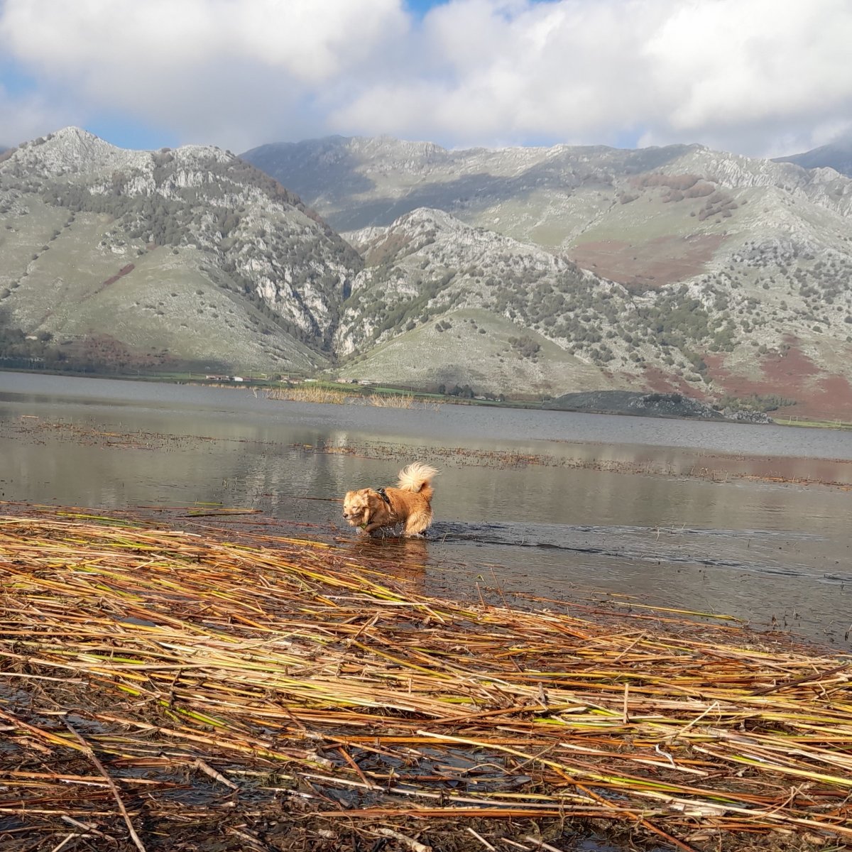 Un bel bagno di fango per lavare via la 💩 di vacca 🤣