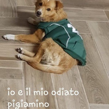 Simba