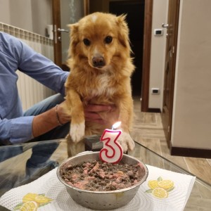 Buon  compleanno a me!