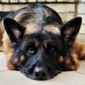BRUCE