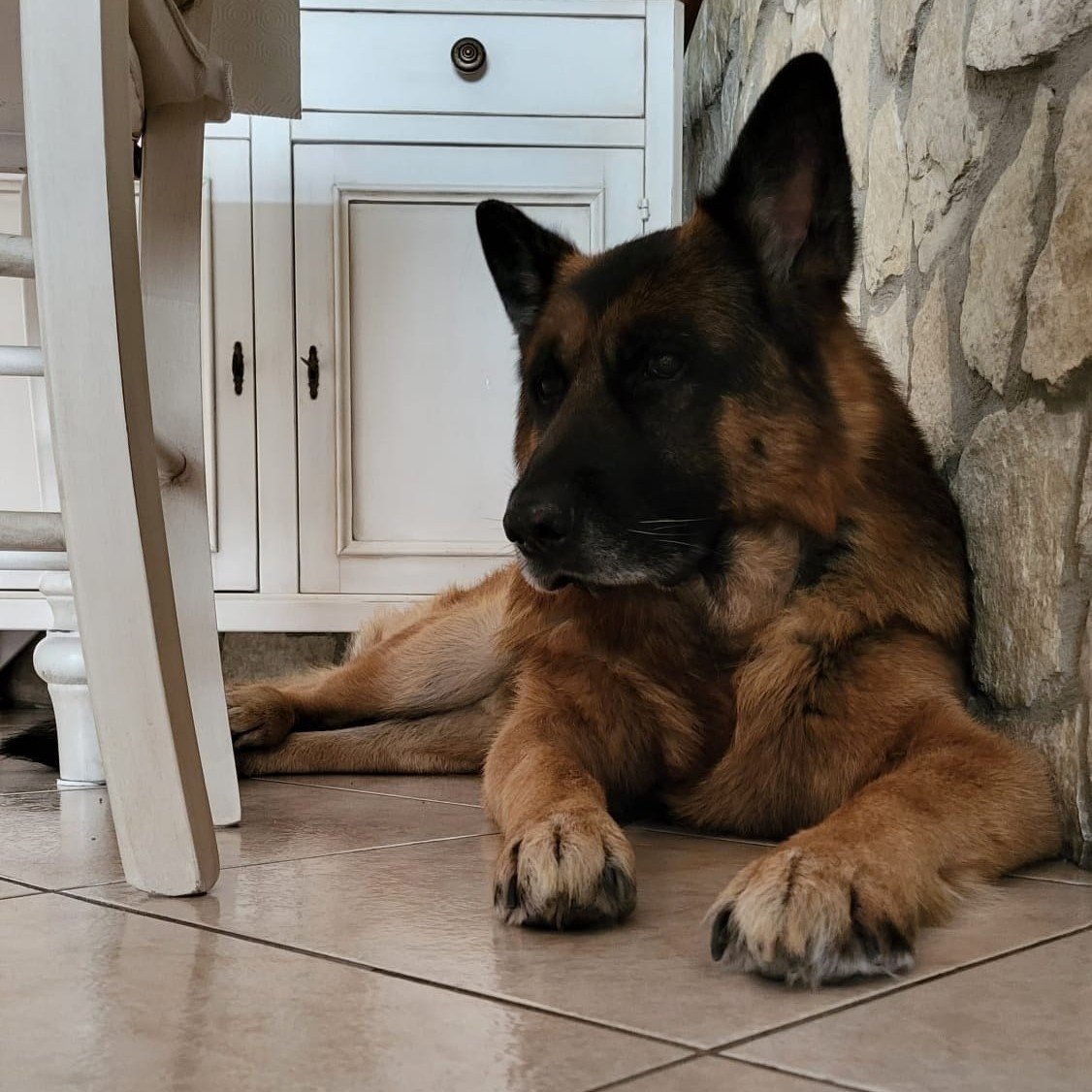 BRUCE