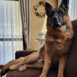 BRUCE