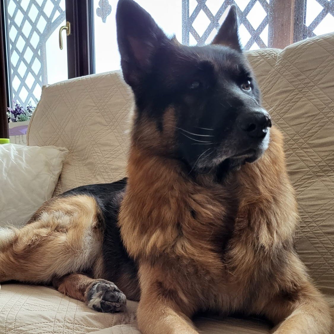 BRUCE