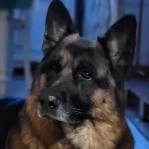 BRUCE