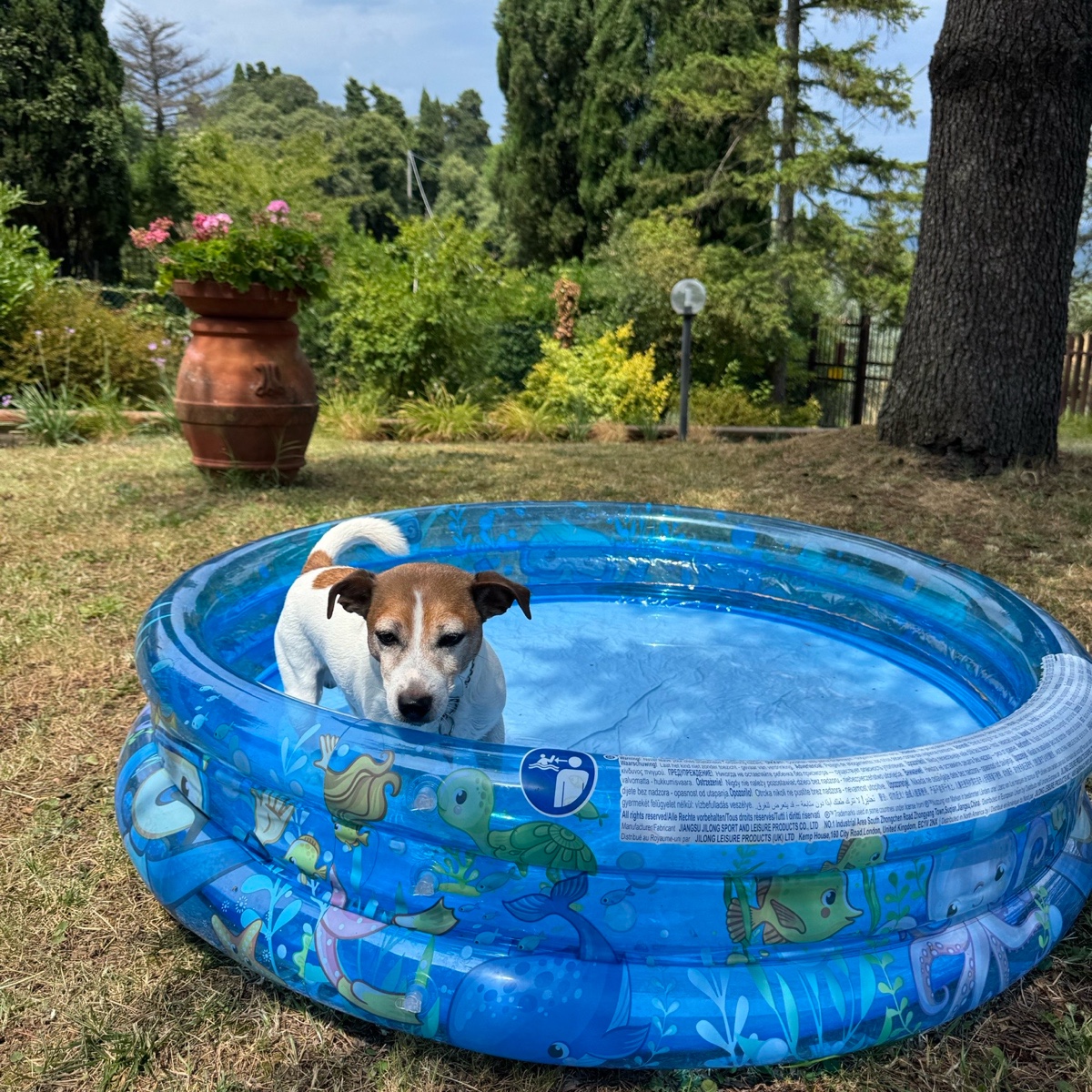 bagnetto in piscina