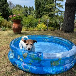 bagnetto in piscina