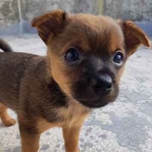 Zoe