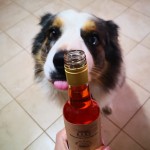 Mmmm bontà 🍾