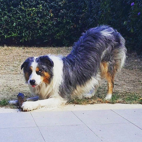 I'm so sexy 😎 ❣️