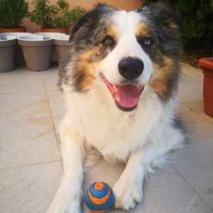 Ciao Amici di Doggree ❤️