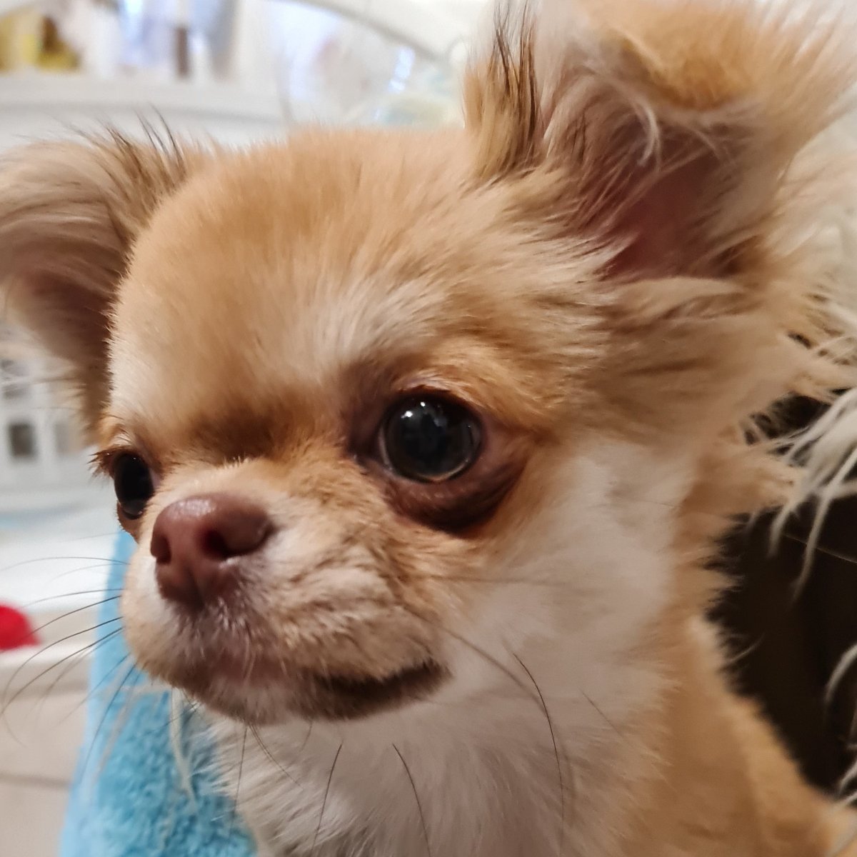 Billy