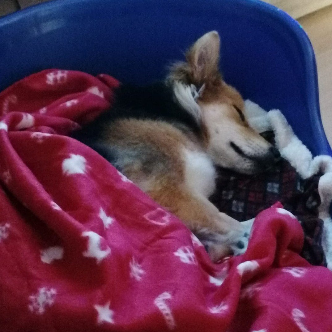 Buona notte ♥️♥️🌃🌃