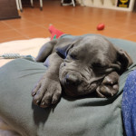 "Pisolini" è il mio secondo nome 😴😴😴