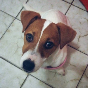 Matilde