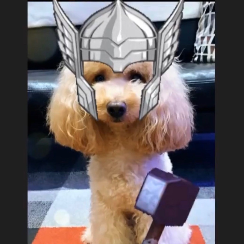 Thor
