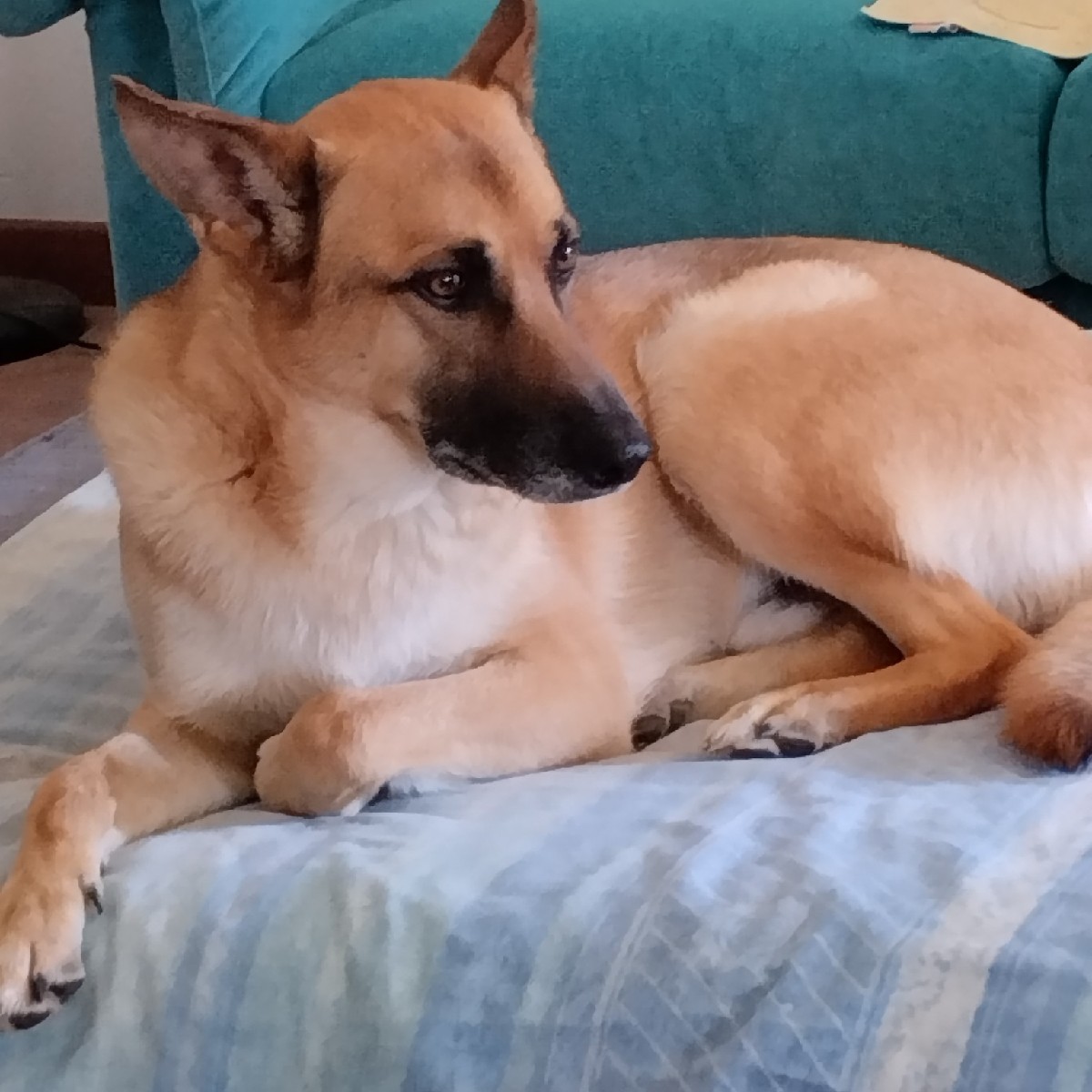 Maggie Kyra Axel Birillo