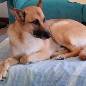 Maggie Kyra Axel Birillo