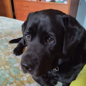 Maggie Kyra Axel Birillo