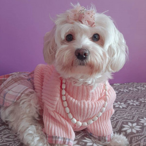 pretty in pink 💗