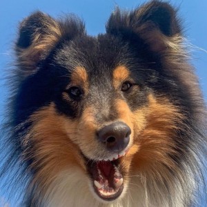 Ciro