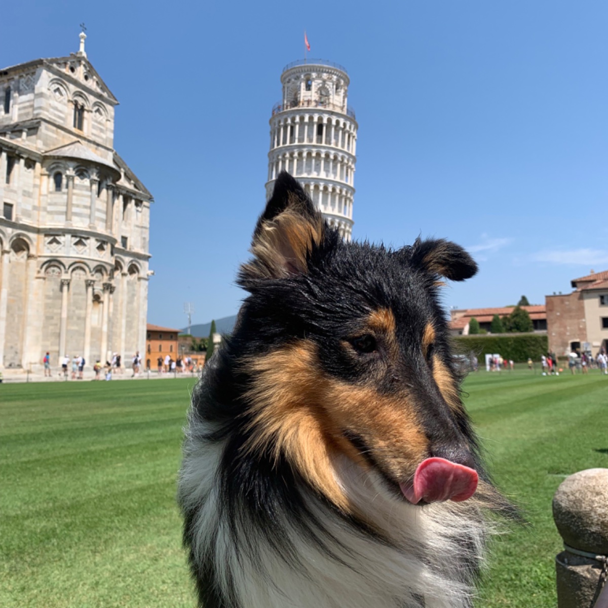 Ciro