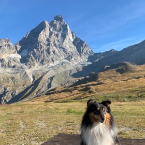 Ciro