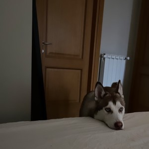 Cucciolottp