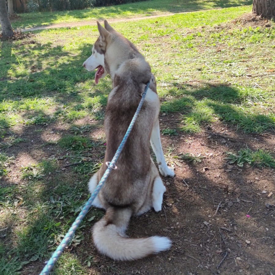 Una bella passeggiata al parco, solo per me 💙
