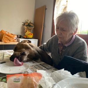 Asso